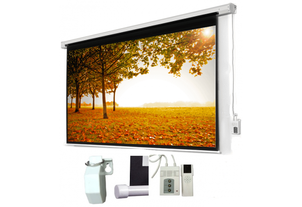 MÀN CHIẾU PHIM 3D 80 INCH DALITE - TỶ LỆ 16 : 9