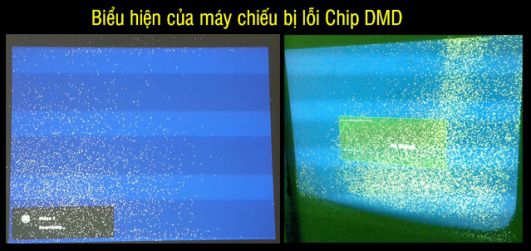 Biểu hiện của máy chiếu bị lỗi chip DMD